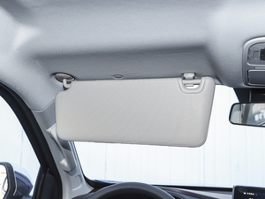 20202.4T (q)(bio)S  (gu)VI g