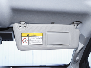 20202.4T (q)(bio)S  (gu)VI g