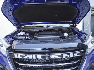 20202.4T (q)(bio)S  (gu)VI 