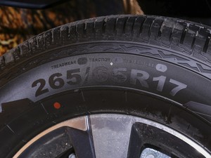 20202.5T (q)A(bio)S  (gu)VI ݆̥ߴ