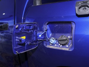 20202.5T (q)A(bio)S  (gu)VI w