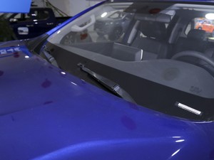 20202.5T (q)A(bio)S  (gu)VI ˢ