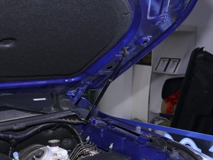 20202.5T (q)A(bio)S  (gu)VI 