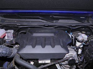 20202.5T (q)A(bio)S  (gu)VI 