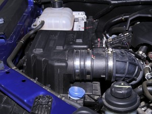 20202.5T (q)A(bio)S  (gu)VI 