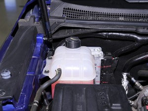 20202.5T (q)A(bio)S  (gu)VI 