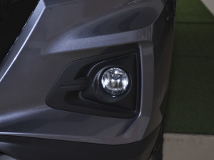 2020款2.5T 四驱标准版长轴 额载495KG 柴油 国VI 前雾灯