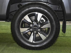 2020款2.5T 四驱标准版长轴 额载495KG 柴油 国VI 轮圈