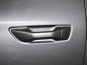 20202.5T (q)(bio)(zhn)LS ~d495KG  VI {T