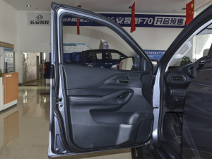 2020款2.5T 四驱标准版长轴 额载495KG 柴油 国VI 驾驶位车门
