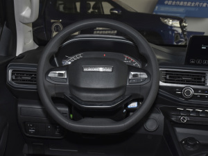 2020款2.5T 四驱标准版长轴 额载495KG 柴油 国VI 方向盘