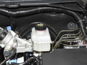 2020款2.5T 四驱标准版长轴 额载495KG 柴油 国VI 其它