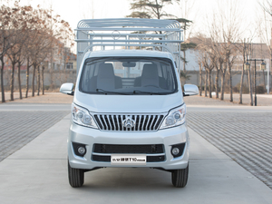 2019款1.5L 仓栅车单排 舒适型 额载1310 正前