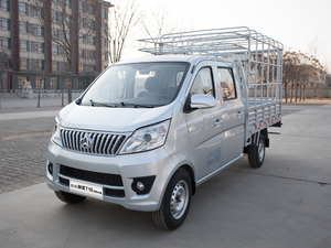 2019款1.5L 仓栅车双排 标准型 额载920 整体外观