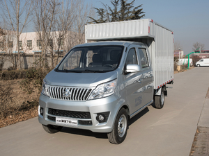 2019款1.5L 厢货车双排 标准型 额载595 整体外观