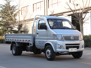 2020款1.5L 单排 国VI 整体外观