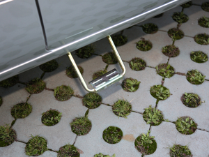 20201.6L \ݔ܇p ˜ CNG VI ^