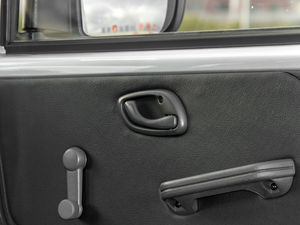 2020T20L 1.5L p VI g