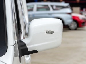 2020款1.5L 基本型 厢货2座 国VI 后视镜