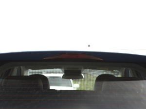 2021L(zhng)m(x)ИI(y)ư (x)(ji)^