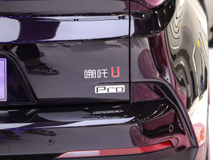 2021Pro 500 ° (x)(ji)^