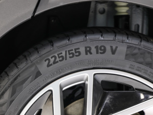 2021Pro 500 ° ݆̥ߴ