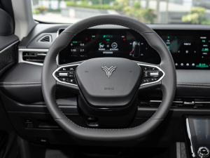 2021款Pro 500 登月版 方向盘