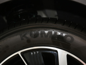 2021款Pro 500 行业定制版 轮胎品牌