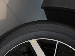 2021款Pro 500 行业定制版 轮胎尺寸
