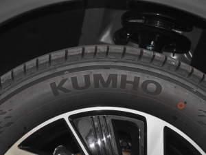 2021款Pro 400 巡航版 轮胎品牌
