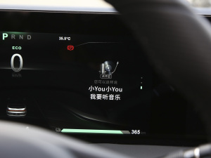 2021款Pro 400 行业定制版 中控区