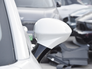 2022Pro Lm(x)Ȥ (ji)^