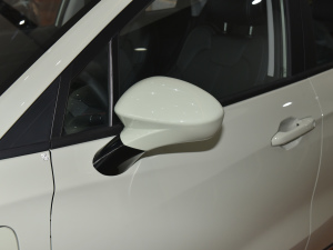 2022款潮 300 Lite 磷酸铁锂 后视镜
