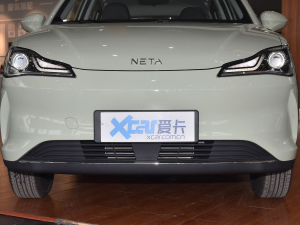 2022款潮 300 Lite 磷酸铁锂 中网