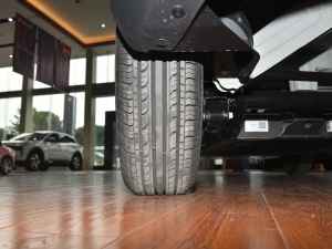 2022 300 Lite F ^