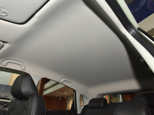 2022 300 Lite F п؅^(q)