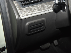 2022 300 Lite F п؅^