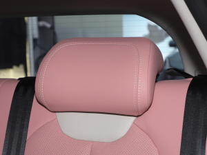 2022 400 Lite ɫƿ g