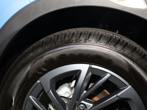 2022 300 ИI(y)ư ݆̥Ʒ