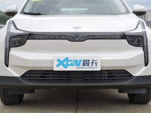 2022款Pro 400 畅行网约版 中网