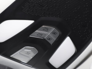 2022款智610 三元锂 中控区