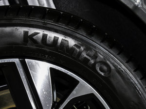2022款智400 Pro 磷酸铁锂 轮胎品牌