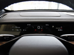 2022款纯电 715km 后驱中版 仪表