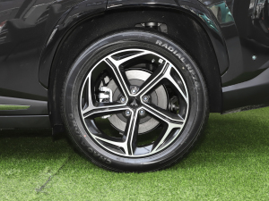 2024310 WPRO (x)(ji)^