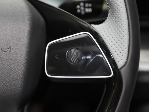 2024640 AWD Max п؅^(q)