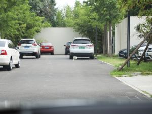 2024640 AWD Max п؅^(q)