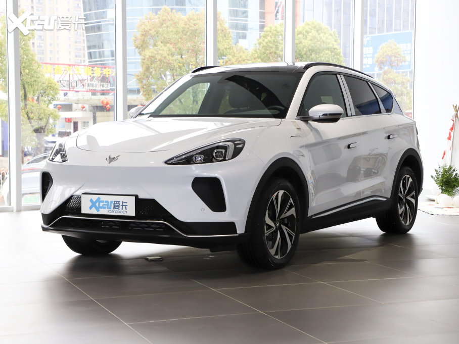 2022O T(ARCFOX T) 480S 175kW