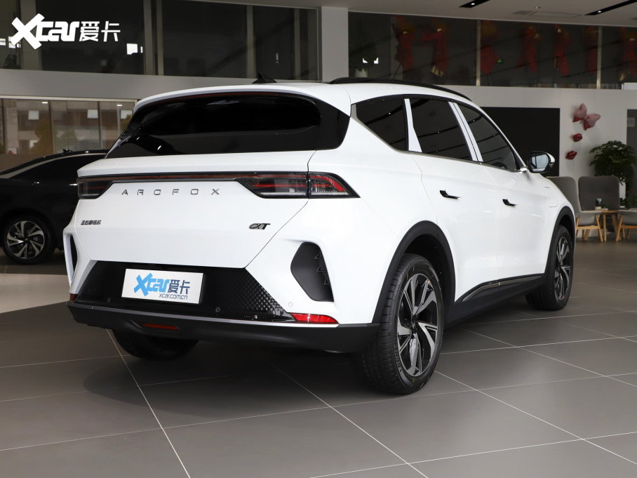 2022O T(ARCFOX T) 480S 175kW