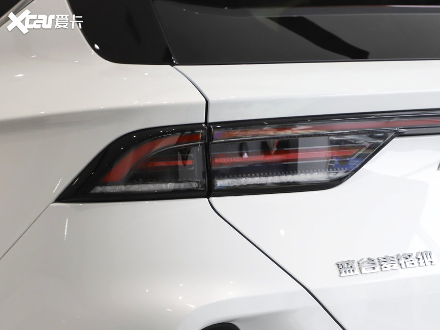 2022O T(ARCFOX T) 480S 175kW