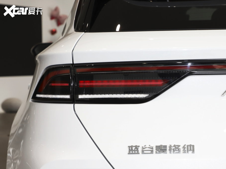 2022O T(ARCFOX T) 480S 175kW